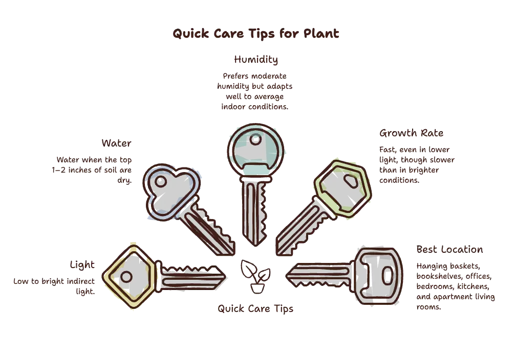 Quick Care Tips 3