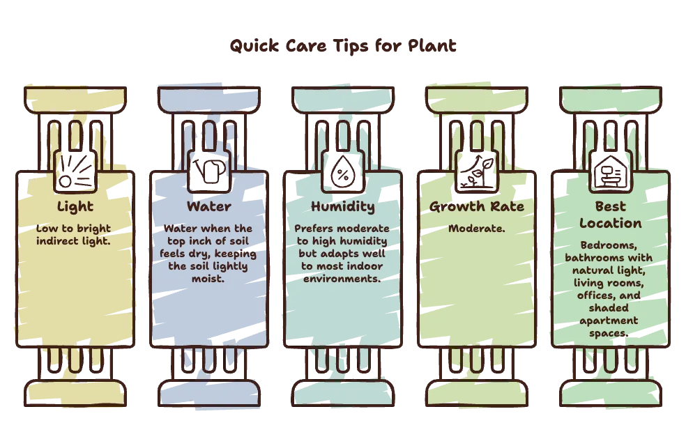 Quick Care Tips 5