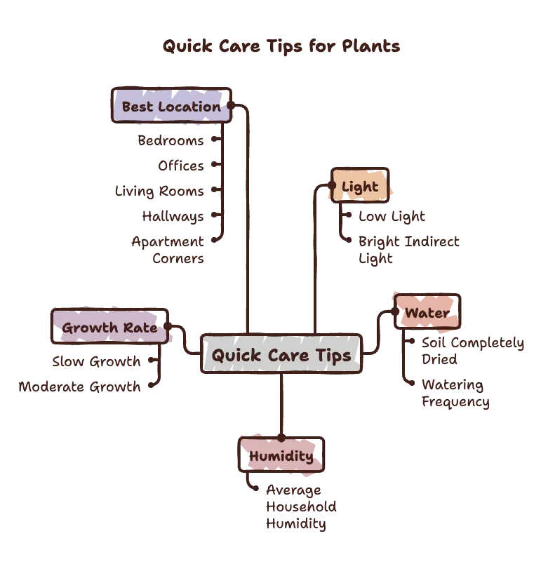 Quick Care Tips