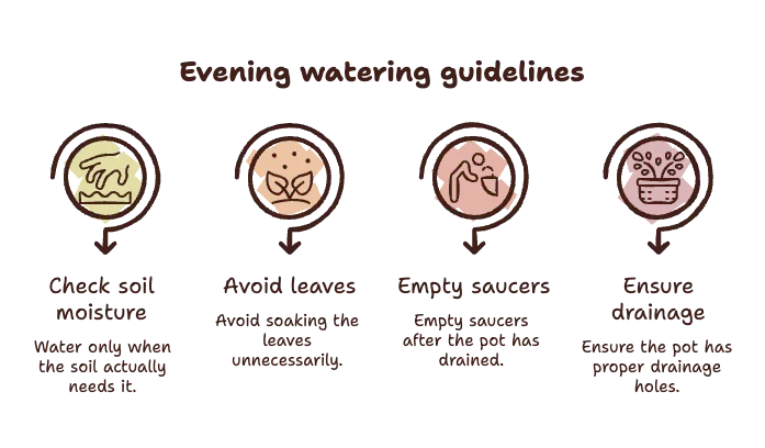 Evening_ Usually Fine, With a Few Considerations