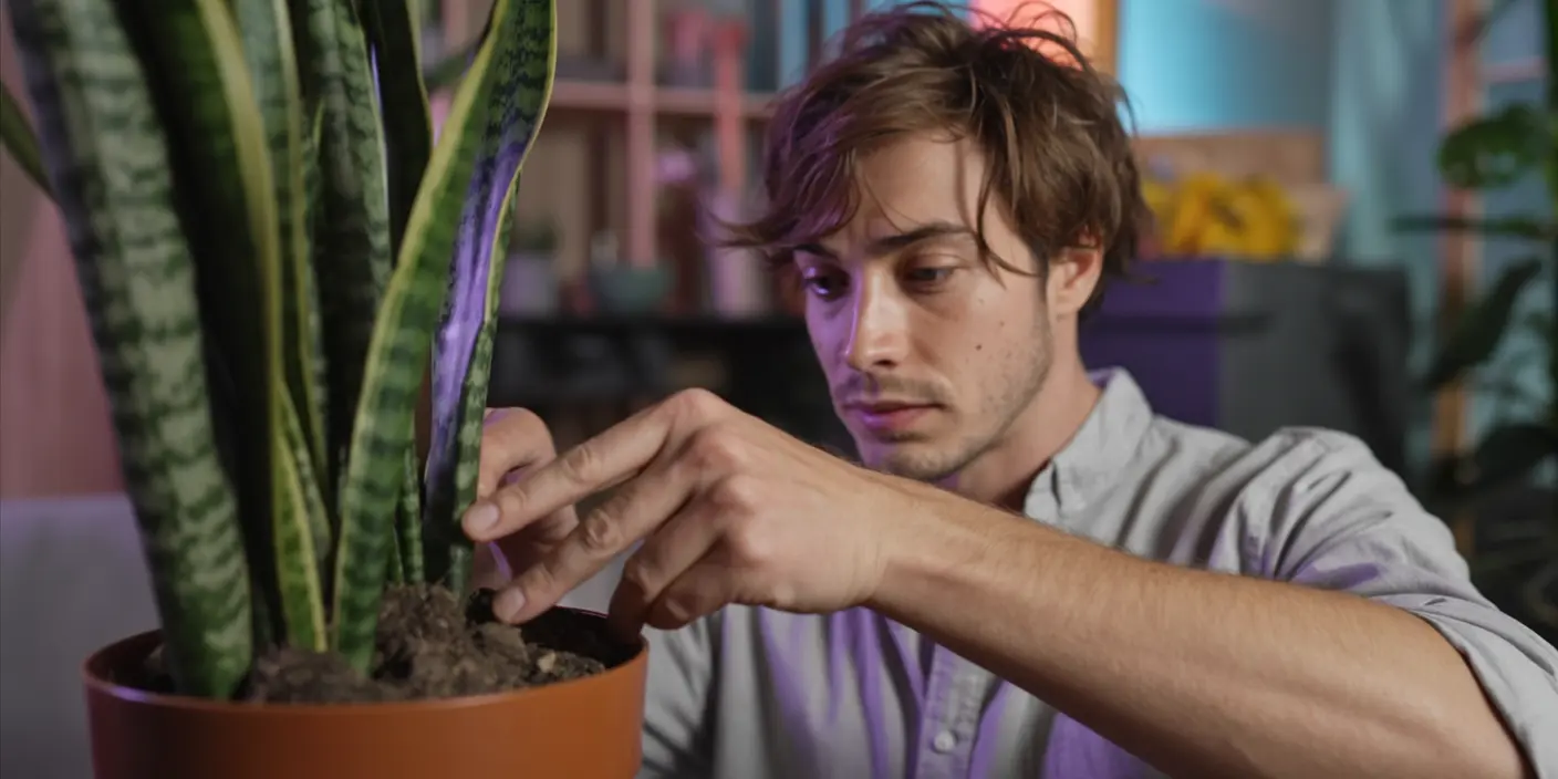 Watering Correctly
