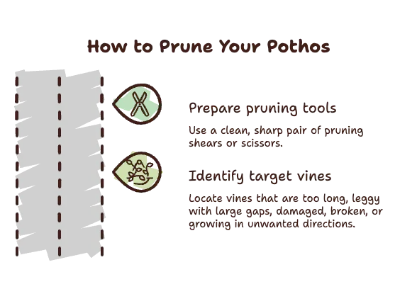 How to Prune Your Pothos