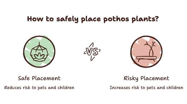 Safe Placement Ideas