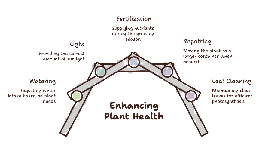 Supporting Healthy Long-Term Growth