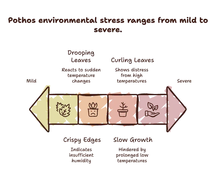 Watch for Signs of Environmental Stress