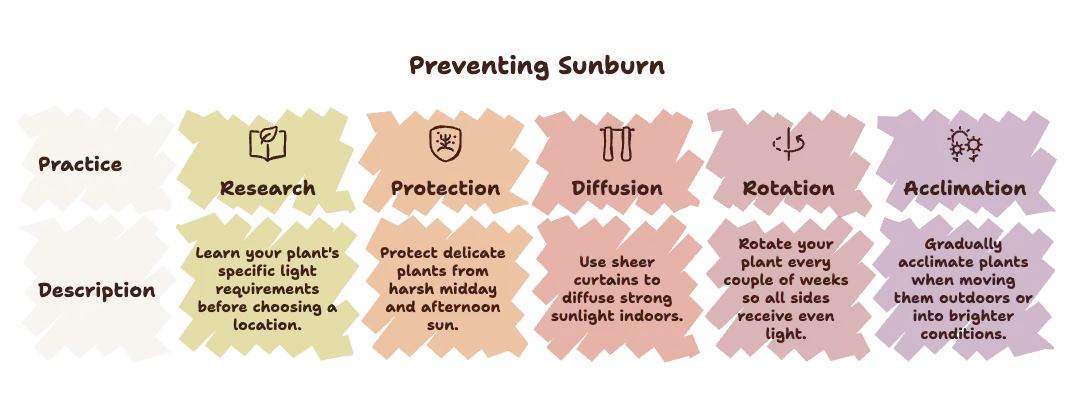 Preventing Sunburn